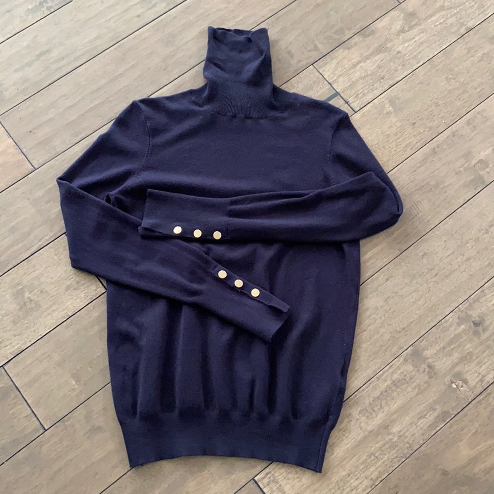 Zara Knit Turtleneck